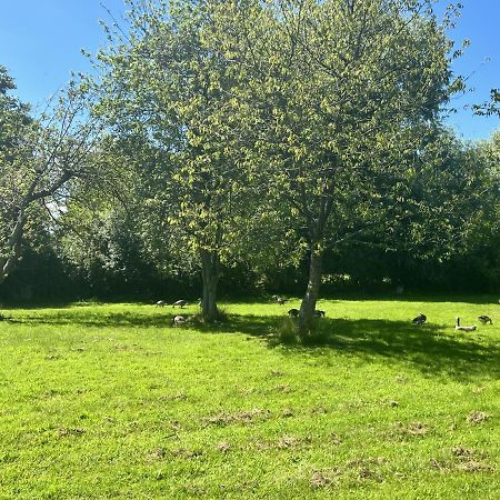 Adorable Two Bed Norfolk Broads Holiday Home - River Views With Moorings & Fishing Stalham Εξωτερικό φωτογραφία