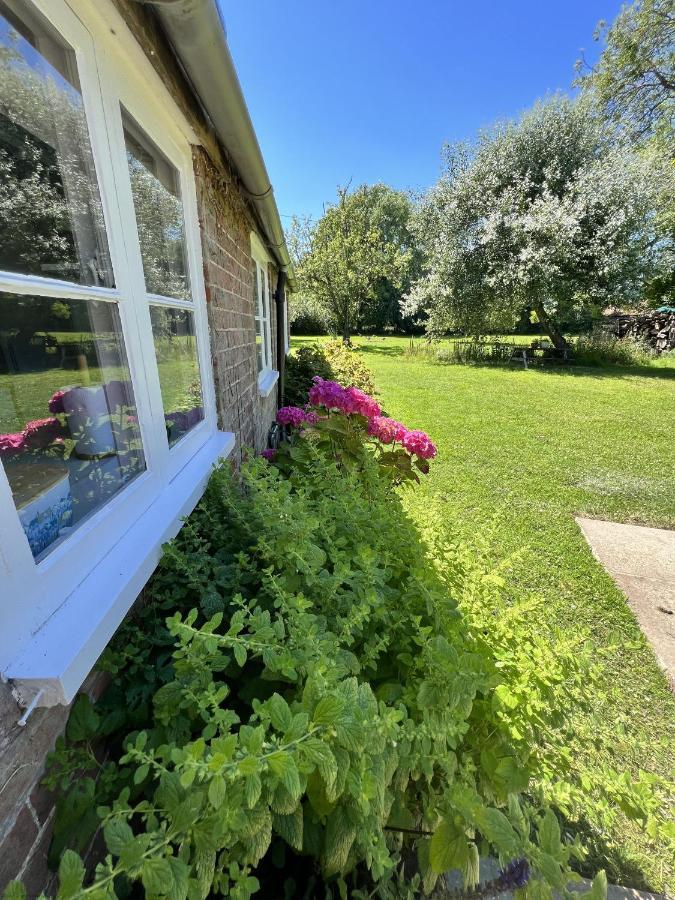 Adorable Two Bed Norfolk Broads Holiday Home - River Views With Moorings & Fishing Stalham Εξωτερικό φωτογραφία