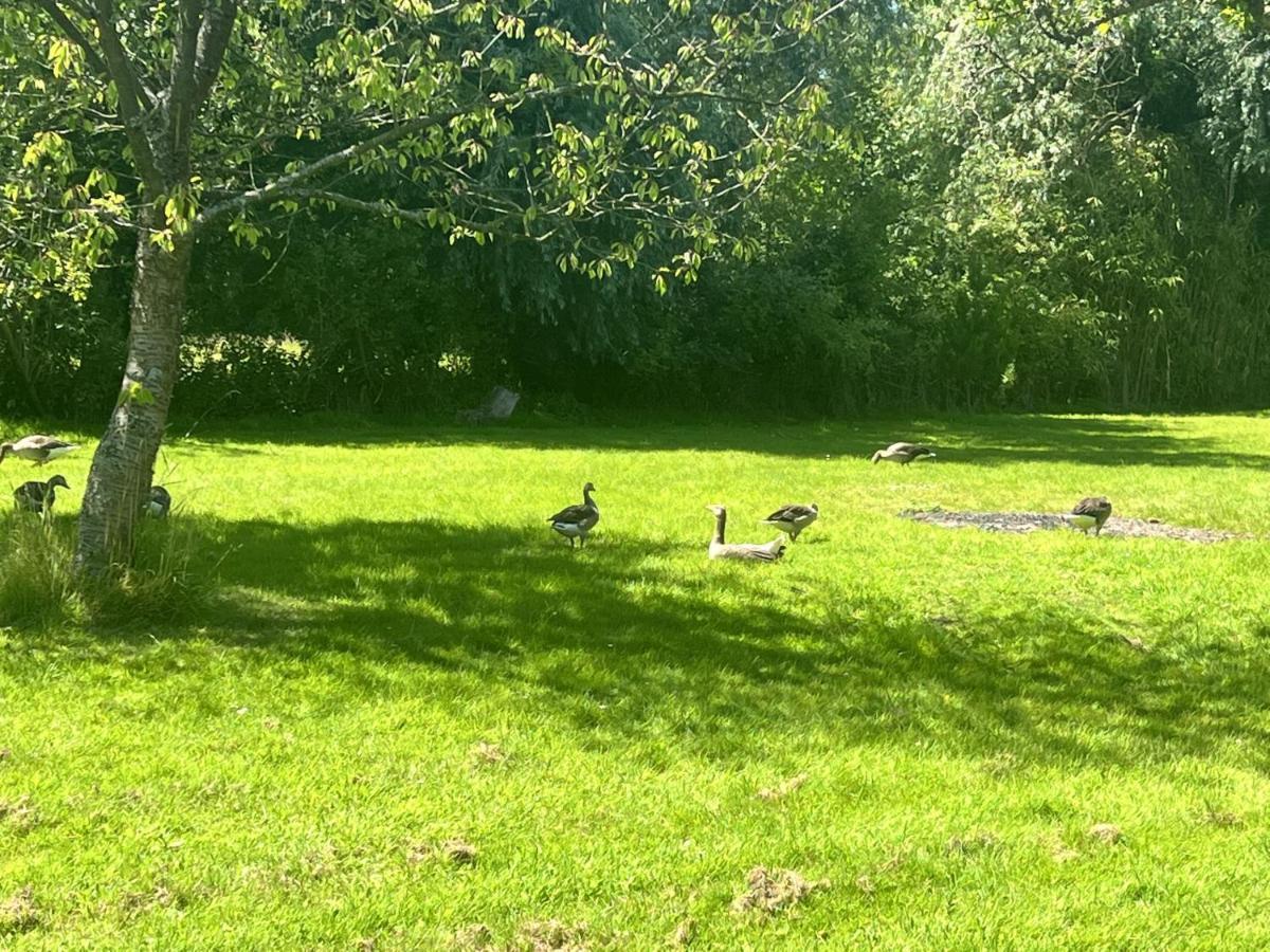Adorable Two Bed Norfolk Broads Holiday Home - River Views With Moorings & Fishing Stalham Εξωτερικό φωτογραφία
